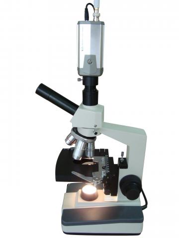 Live Cell Microscopy