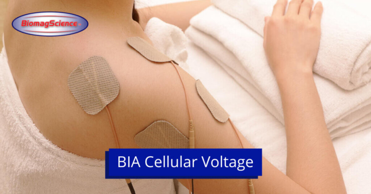 Bia Cellular Voltage - biomagnetic therapy 1200x628 px