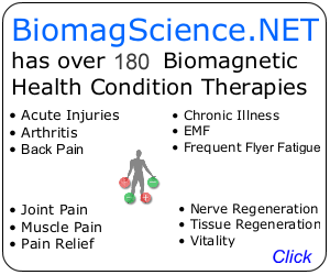 180 Biomagnetic Therapies